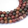 Natural Polychrome Jasper/Picasso Stone/Picasso Jasper Beads Strands G-E334-6mm-10-1