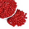 Opaque Colours Glass Seed Beads SEED-Q042-01A-D05-1