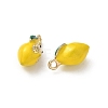 Alloy Enamel Pendants FIND-C074-02C-2