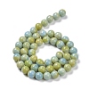Glass Round Beads Strands GLAA-M044-01C-4