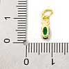 Rack Plating Brass Micro Pave Cubic Zirconia Charms KK-F881-03G-02-3