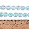 Crackle Transparent Glass Beads Strands GLAA-N068-04A-03-4