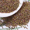 MIYUKI Delica Beads X-SEED-J020-DB0507-1