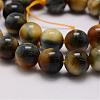 Natural Tiger Eye Bead Strands G-P230-08-F-8mm-3