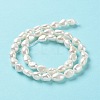 Natural Cultured Freshwater Pearl Beads Strands PEAR-Z002-16-3