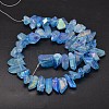 Electroplated Natural Quartz Crystal Beads Strands G-A142-03C-2