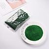 12/0 FGB Grade A Round Glass Seed Beads SEED-Q006-M22-5