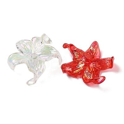 Transparent Acrylic Beads X-MACR-K358-06B-1