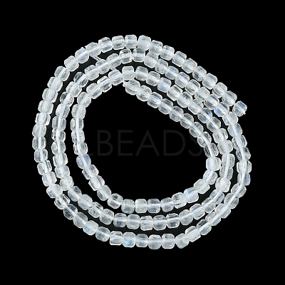 Natural Rainbow Moonstone Beads Strands G-F748-Z01-01-1