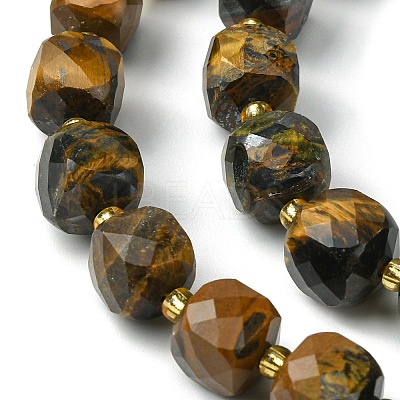 Natural Tiger Eye Beads Strands G-Q010-A09-01-1