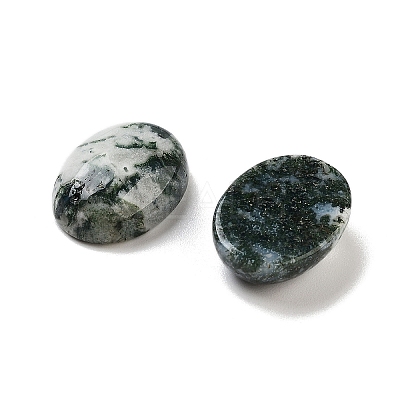 Natural Tree Agate Cabochons G-G145-01B-54-1
