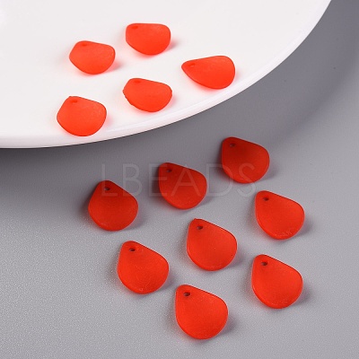 Transparent Frosted Acrylic Pendants MACR-S371-09A-712-1