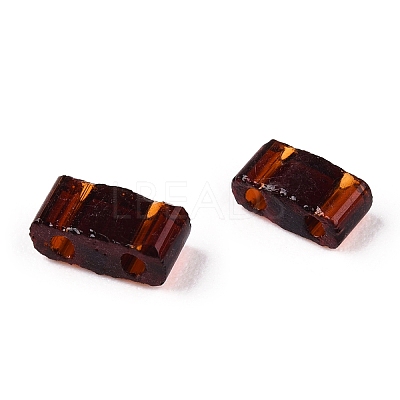 2-Hole Glass Seed Beads SEED-T003-01B-09-1