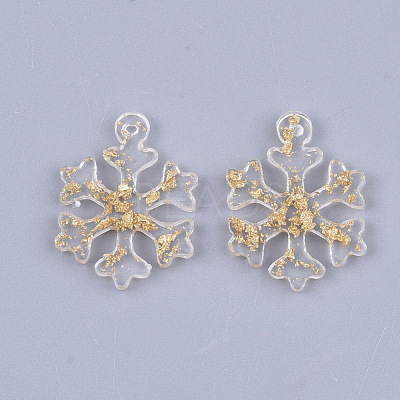 Resin Pendants X-RESI-T040-004-1
