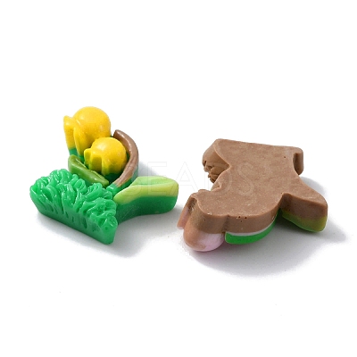 Opaque Resin Decoden Cabochons CRES-P030-A-1