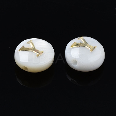 Natural Freshwater Shell Beads SHEL-S278-036Y-1