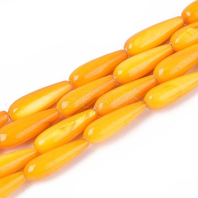 Natural Freshwater Shell Beads Strands SHEL-A004-03D-1