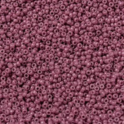MIYUKI Round Rocailles Beads SEED-JP0010-RR4487-1