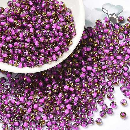 Glass Seed Beads SEED-H002-B-D207-1