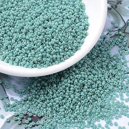 MIYUKI Round Rocailles Beads SEED-G007-RR0481-1