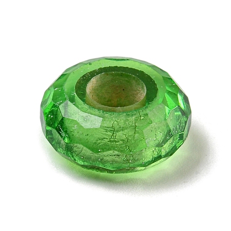 Glass European Beads GLAA-XCP0001-43I-1