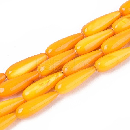 Natural Freshwater Shell Beads Strands SHEL-A004-03D-1