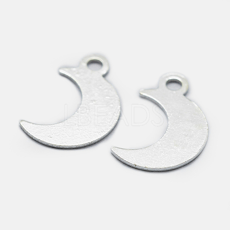 925 Sterling Silver Charms STER-I014-19S-1