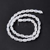 Natural White Agate Beads Strands G-C247-01A-3
