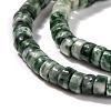 Natural Qinghai Jade Beads Strands G-F631-A18-2