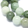 Natural Jadeite Beads Strands G-G789-01D-3