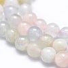 Natural Morganite Beads Strands G-K305-18-C-3