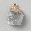 Dyed Natural Quartz Pendants G-WH0003-09D-2