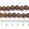 Natural Tibetan 3-Eye dZi Agate Beads Strands G-B079-C01-02-5