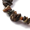 Natural Paua Shell Beads Strands BSHE-B007-05-3