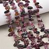Natural Colorful Tourmaline Beads Strands G-F821-C01-01-1