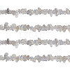 Natural Labradorite Bead Strands G-GL0001-03-1
