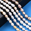 Natural Cultured Freshwater Pearl Beads Strands PEAR-N012-05W-2