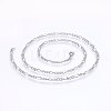 Non-Tarnish 304 Stainless Steel Figaro Chain Necklaces NJEW-F227-03-01-1