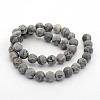 Frosted Natural Map Stone/Picasso Stone/Picasso Jasper Round Bead Strands G-M272-08-8mm-2