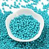 Baking Paint Glass Seed Beads SEED-H002-I-A507-2
