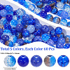 300Pcs 5 Styles Baking Paint Crackle Glass Beads CCG-PA0001-06-2