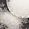 6/0 Round Glass Seed Beads SEED-J011-F6-161-1