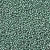 MIYUKI Delica Beads SEED-MY11-DB1171-3