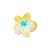Plastic Claw Hair Clips PW-WG07B2B-08-1