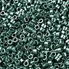 Baking Paint Glass Seed Beads X-SEED-S042-15A-15-3