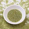 MIYUKI Delica Beads SEED-MY11-DB0124-2