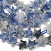 Natural Blue Spot Jasper Beads Strands G-F817-A12-01-5
