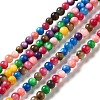 Dyed Natural Freshwater Shell Beads Strands SHEL-G014-05A-01-1