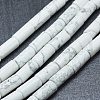 Natural Howlite Beads Strands G-F631-F03-1