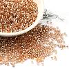 Glass Seed Beads SEED-S042-04B-17-1